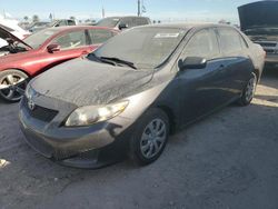 Salvage cars for sale at Riverview, FL auction: 2010 Toyota Corolla Base