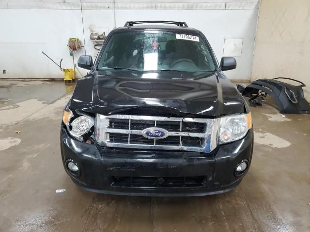 2011 Ford Escape XLT