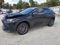 2024 Lexus NX 350H Base en venta en Fort Pierce, FL