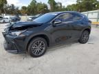 2024 Lexus NX 350H Base