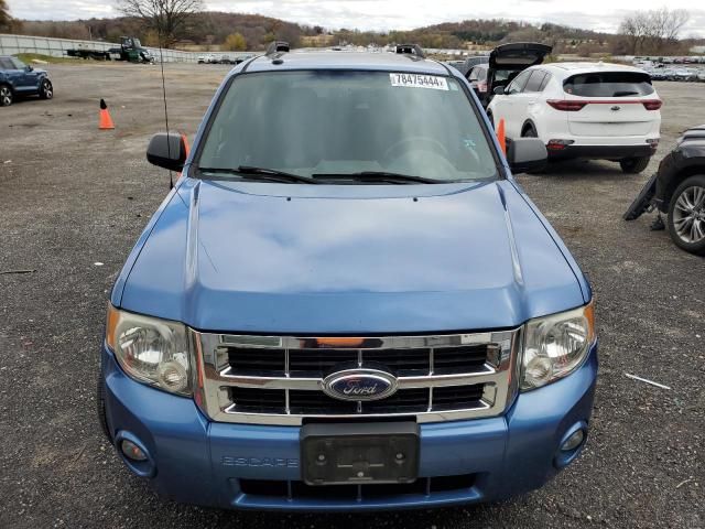 2009 Ford Escape XLT