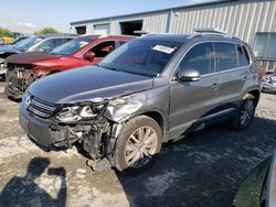 Salvage cars for sale at Chambersburg, PA auction: 2016 Volkswagen Tiguan S