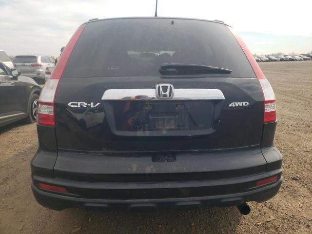 2010 Honda CR-V EX