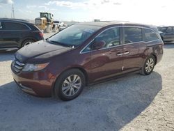 2016 Honda Odyssey EXL en venta en Arcadia, FL