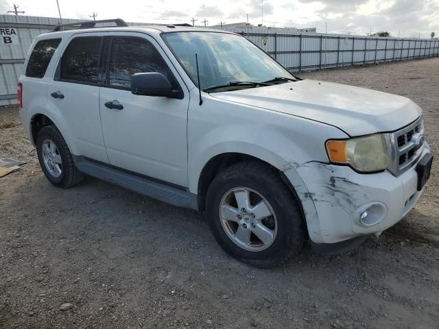 2011 Ford Escape XLT