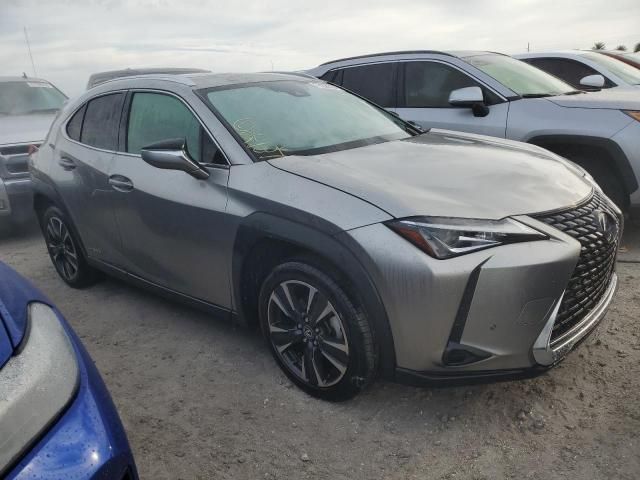 2021 Lexus UX 250H