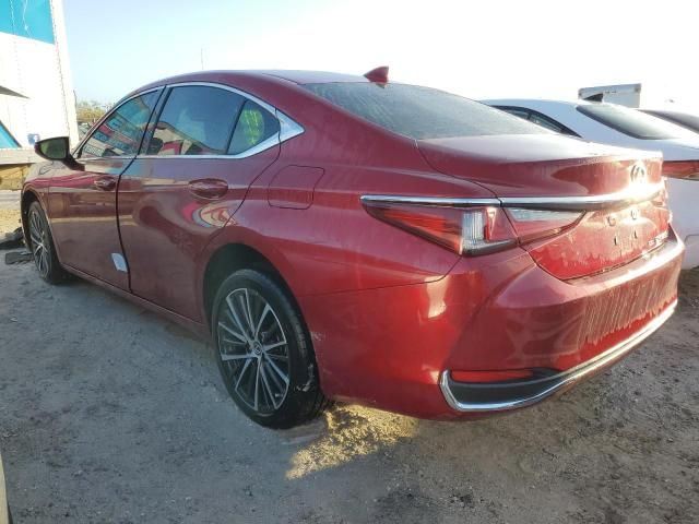 2024 Lexus ES 250 Base