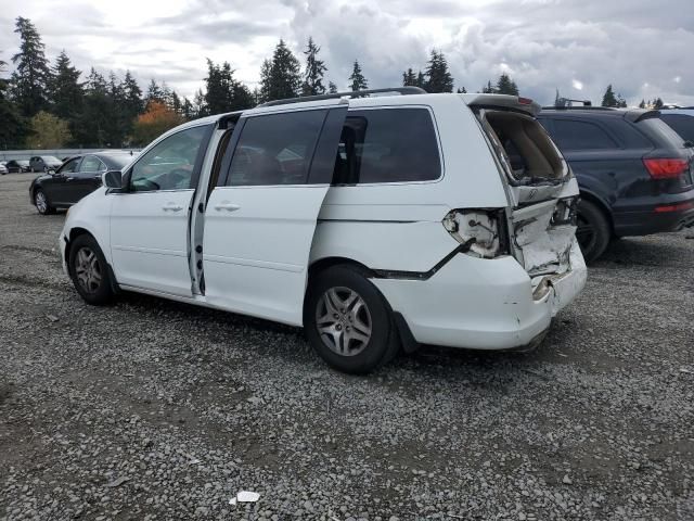 2006 Honda Odyssey EXL