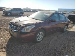 Vehiculos salvage en venta de Copart Phoenix, AZ: 2010 Nissan Altima Base