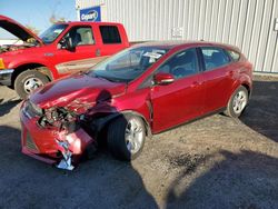 Salvage vehicles for parts for sale at auction: 2013 Ford Focus SE