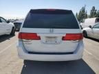 2008 Honda Odyssey LX