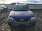 2005 Ford Escape XLS