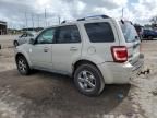 2009 Ford Escape Limited