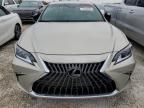 2024 Lexus ES 350 Base