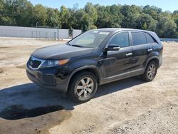 Carros sin daños a la venta en subasta: 2011 KIA Sorento Base