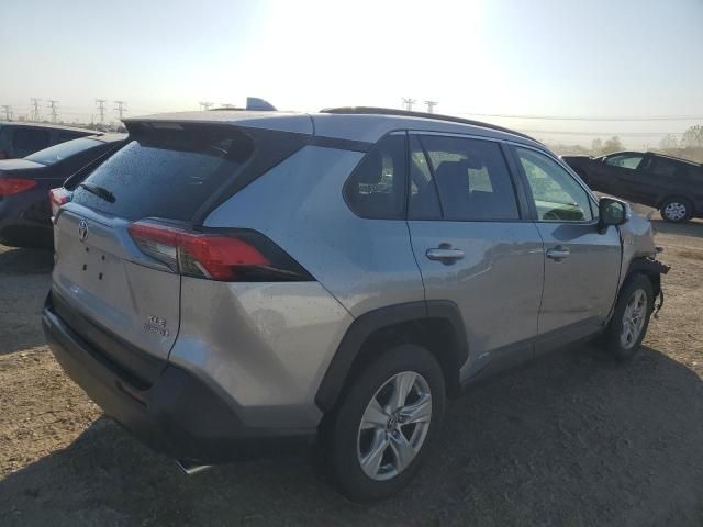 2019 Toyota Rav4 XLE