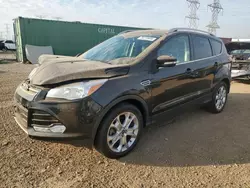 Salvage cars for sale at Elgin, IL auction: 2016 Ford Escape Titanium