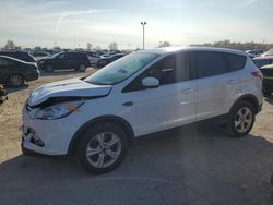 Ford Vehiculos salvage en venta: 2016 Ford Escape SE