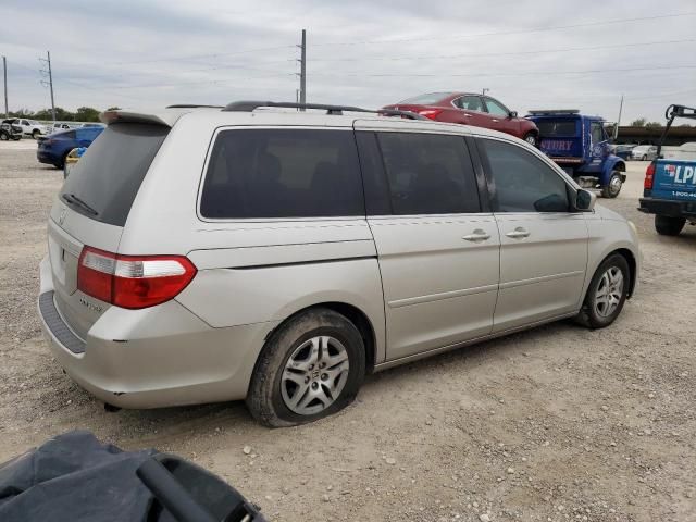 2005 Honda Odyssey EXL