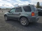 2005 Ford Escape XLT