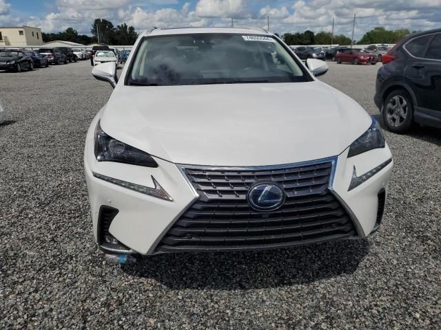 2021 Lexus NX 300H Base