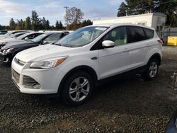 2016 Ford Escape SE en venta en Graham, WA