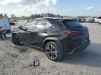 2024 Lexus UX 250H Base