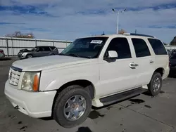 Cadillac salvage cars for sale: 2003 Cadillac Escalade Luxury