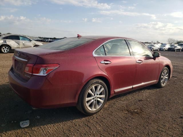 2010 Lexus ES 350