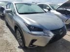 2020 Lexus NX 300H