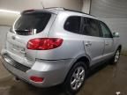 2007 Hyundai Santa FE SE