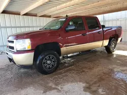 Vehiculos salvage en venta de Copart Andrews, TX: 2009 Chevrolet Silverado C1500