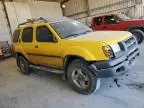 2001 Nissan Xterra XE