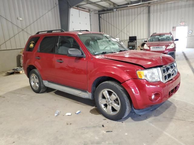 2011 Ford Escape XLT