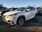 2020 Lexus NX 300