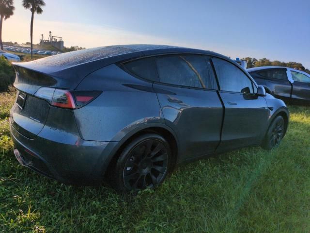 2020 Tesla Model Y