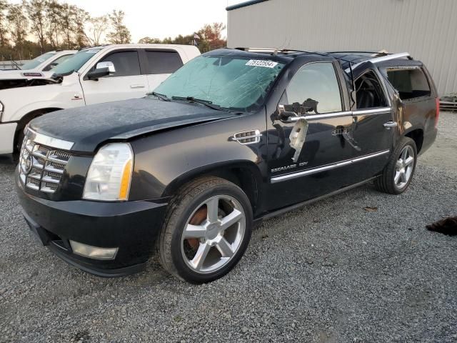 2010 Cadillac Escalade ESV Premium