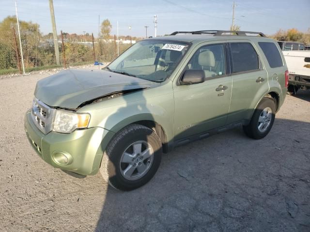 2008 Ford Escape XLT