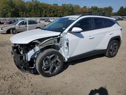 Salvage cars for sale at Conway, AR auction: 2024 Hyundai Tucson SEL