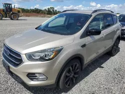 Salvage cars for sale at Riverview, FL auction: 2017 Ford Escape SE