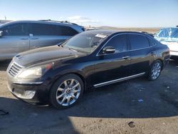 Salvage cars for sale at Albuquerque, NM auction: 2013 Hyundai Equus Signature