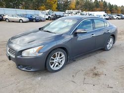 Salvage cars for sale at Eldridge, IA auction: 2011 Nissan Maxima S