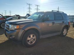 Salvage cars for sale at Elgin, IL auction: 2011 Ford Escape XLT