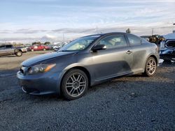 Salvage cars for sale at Eugene, OR auction: 2009 Scion TC