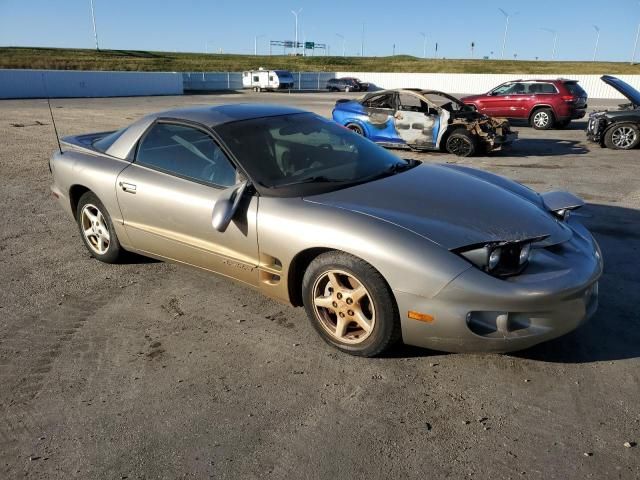 2001 Pontiac Firebird