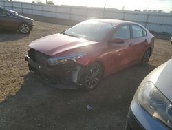 Salvage cars for sale at Elgin, IL auction: 2023 KIA Forte LX