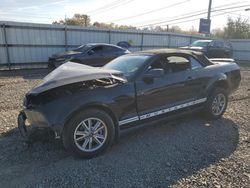 Salvage cars for sale at Hillsborough, NJ auction: 2005 Ford Mustang