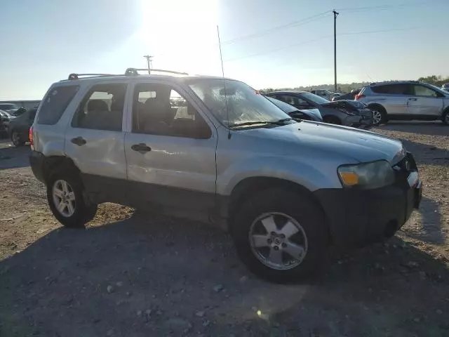 2006 Ford Escape XLT