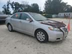 2008 Toyota Camry Hybrid