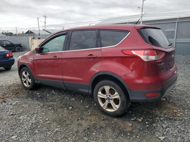 2013 Ford Escape SE